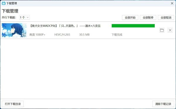 Bili23 Downloader GUI   B 站视频下载工具