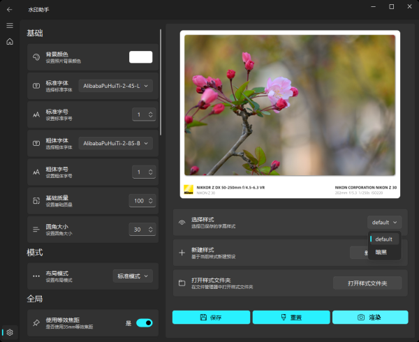 水印助手：多平台照片批量水印工具 EXIF 元数据智能提取