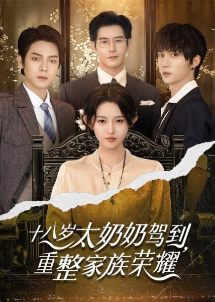 十八岁太奶奶驾到 2025 1080p 两季全 3.7GB 高清资源