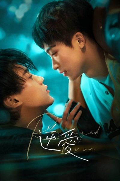 逆爱 (2025) 1080p S01 24集全（顺着爱）30G：含花絮物料资源