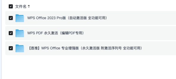 WPS Office 2023永久激活版：带 AI 助手 + PDF ，办公效率拉满