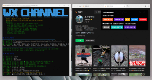 微信视频号批量下载工具 – wx_channel  2025最新版