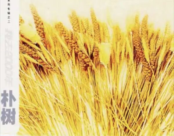 朴树 – 2000年 专辑 – 我去2000 – Flac高清音乐  免费下载