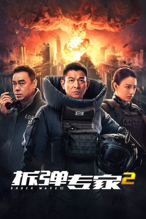 【原盘】拆弹专家2 (2020) 4K REMUX 国粤多音轨 内封简繁字幕